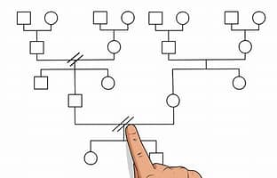 Coaching, Lebensberatung Renate Söldner Coaching, Lebensberatung Renate Söldner